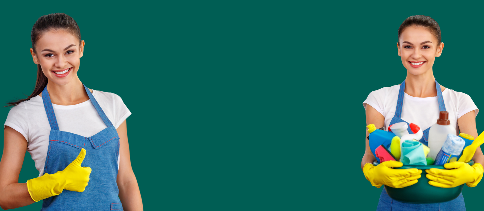 MCS Website logo (3)